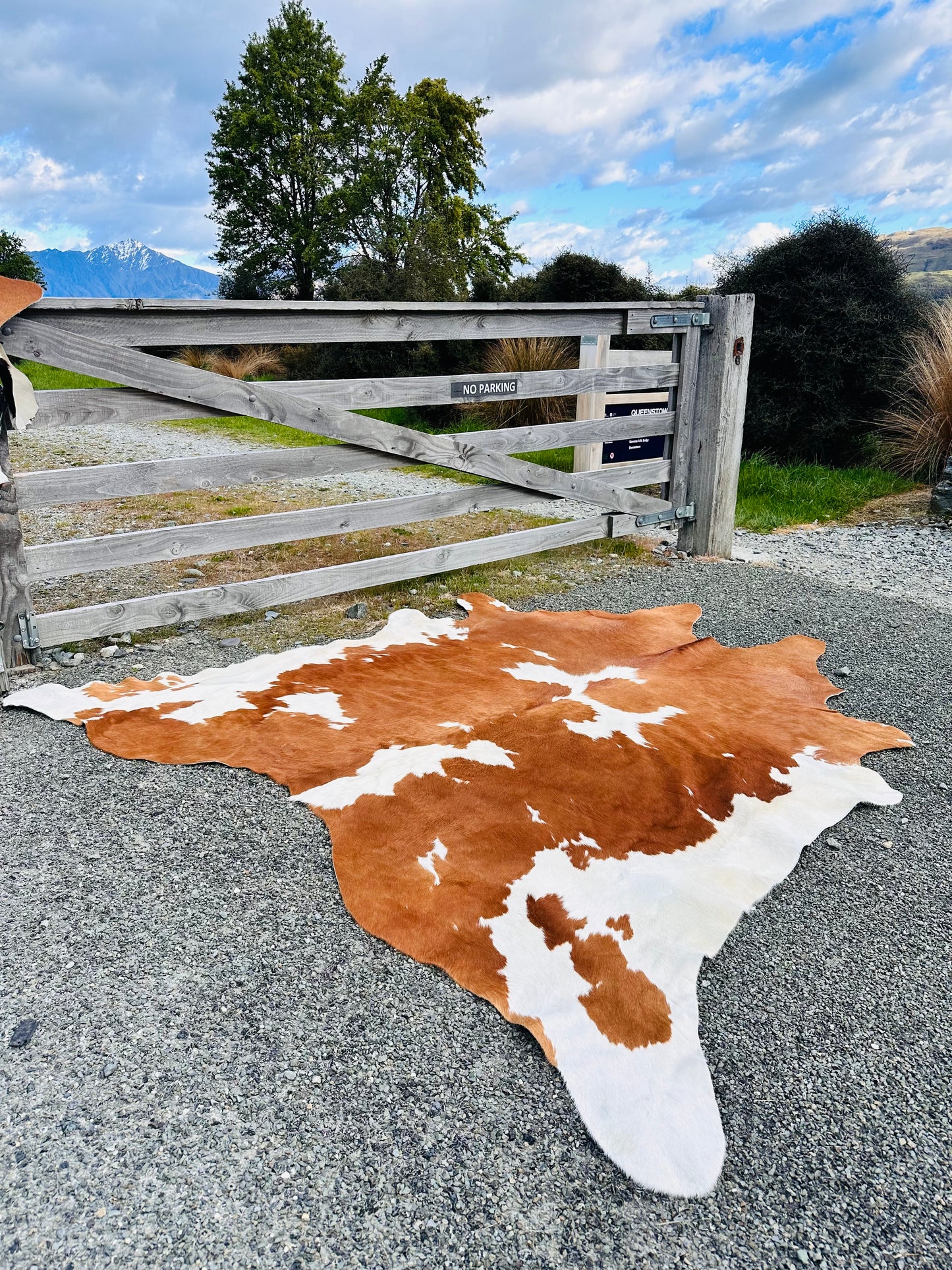 STUNNING XTRA LARGE NZ MADE COWHIDE RUG